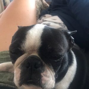 Meet your Posher, Danae